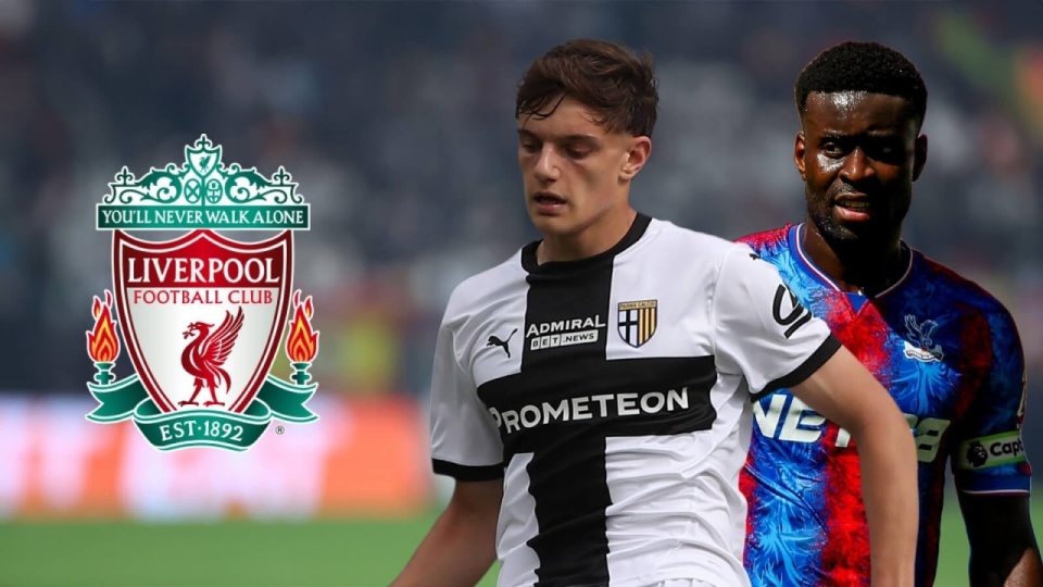 象的话, 科纳特仅剩, 莱奥尼 象的话, 科纳特仅剩, 莱奥尼