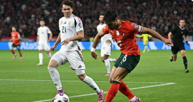 帮助葡萄牙 帮助葡萄牙